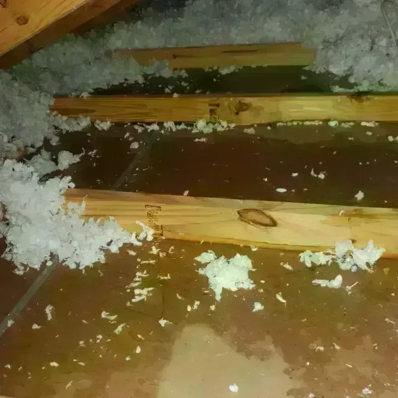 Attic Water Damage in Cayey, PR